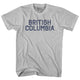 Cool Grey