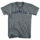 Athletic Grey