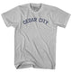 Cool Grey