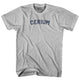 Cool Grey
