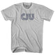 Cool Grey