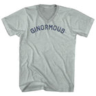 Athletic Cool Grey