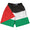 Palestine Country Flag Lacrosse Shorts Made In USA