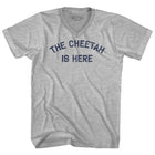 Heather Grey